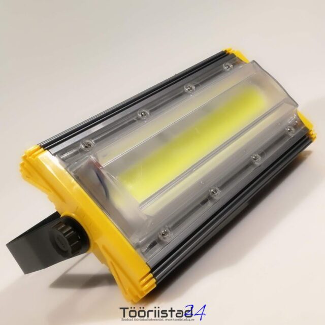 Led prozektor 50w külm valgus