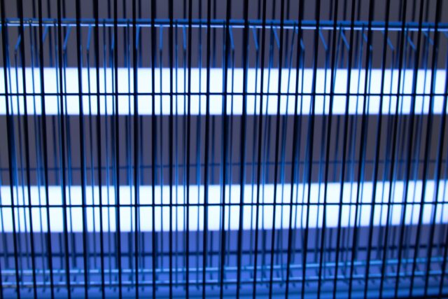 UV putukate tõrjelamp 30W (10) - Image 6